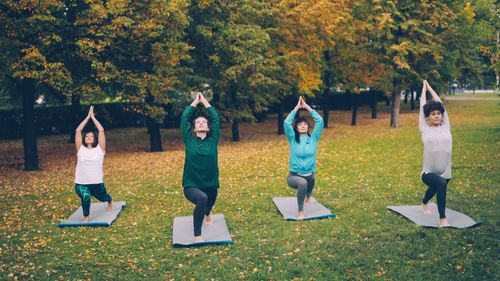 Free Four people practicing yoga outdoors in a scenic park during fall. Stock Photo
