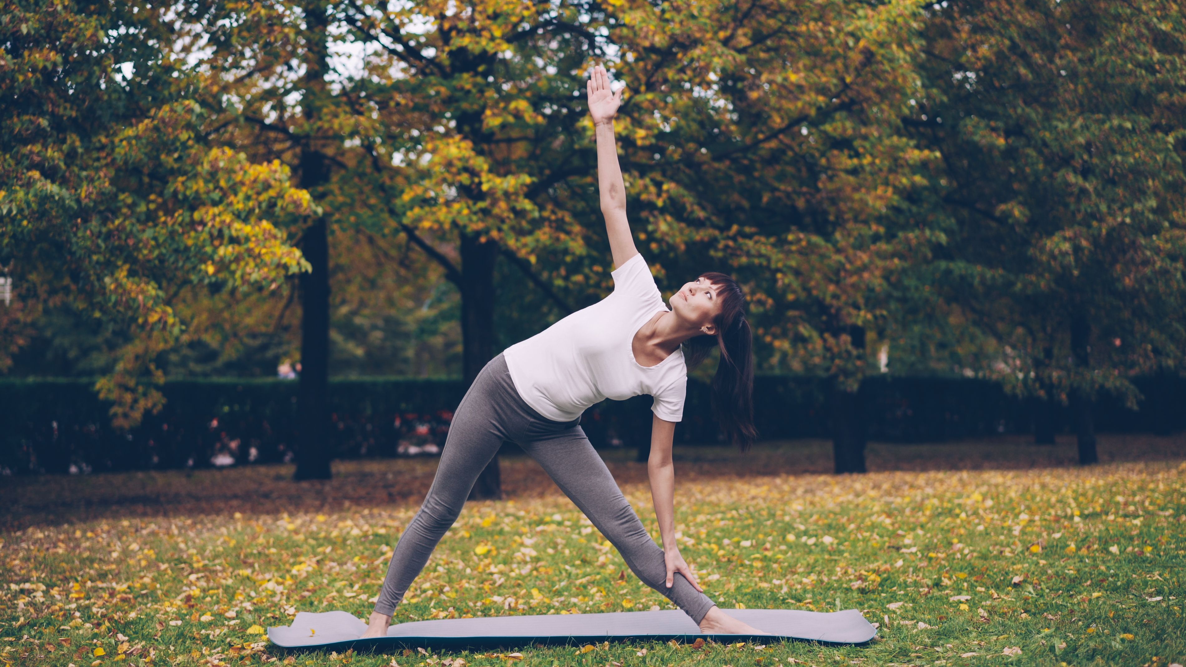 wellness exercise — Photo by Vitaly Gariev on Pexels