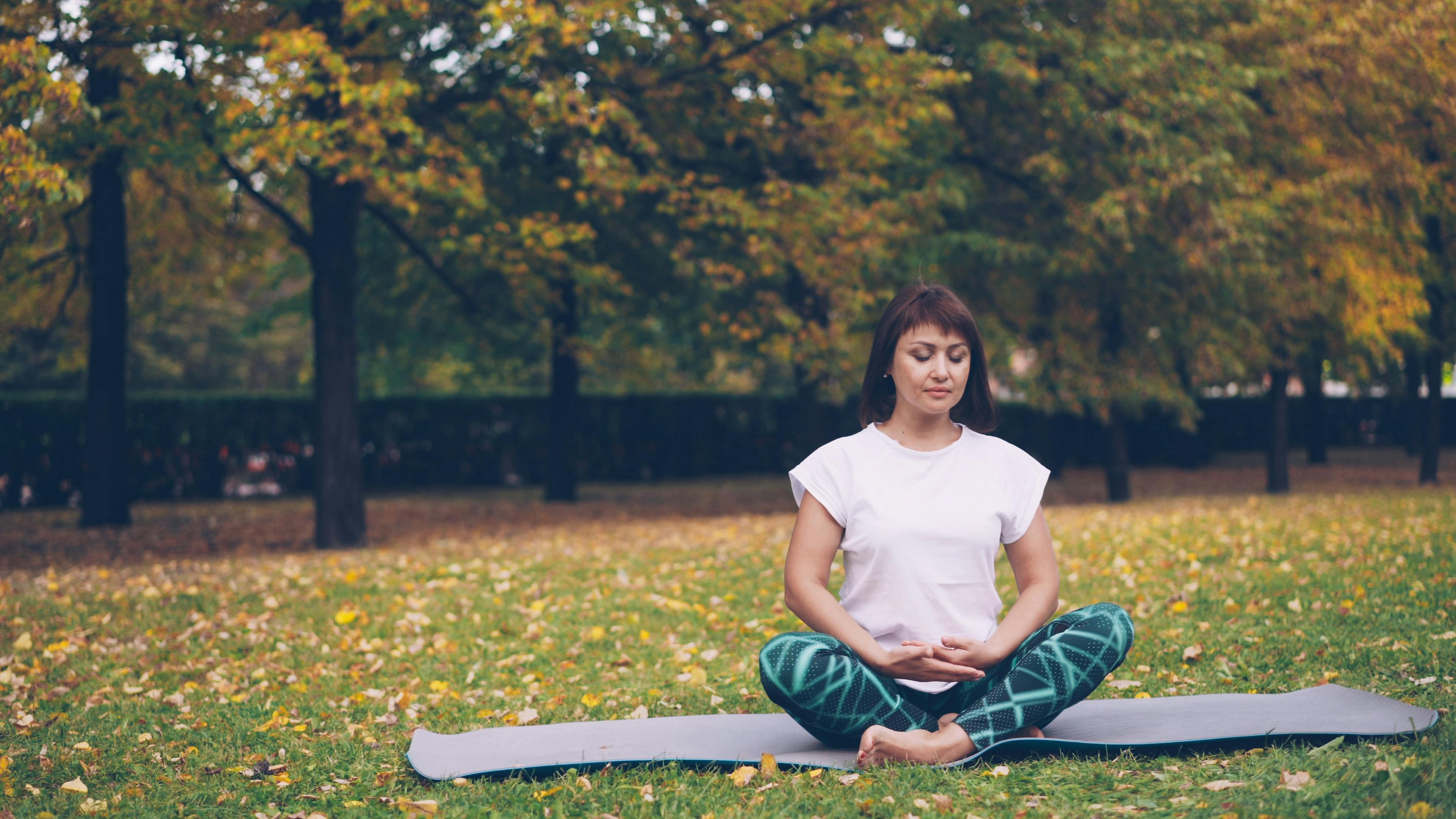The Best Mental Health Apps for Meditation, Therapy, Better Sleep, &amp; More — Photo by Vitaly Gariev on Pexels