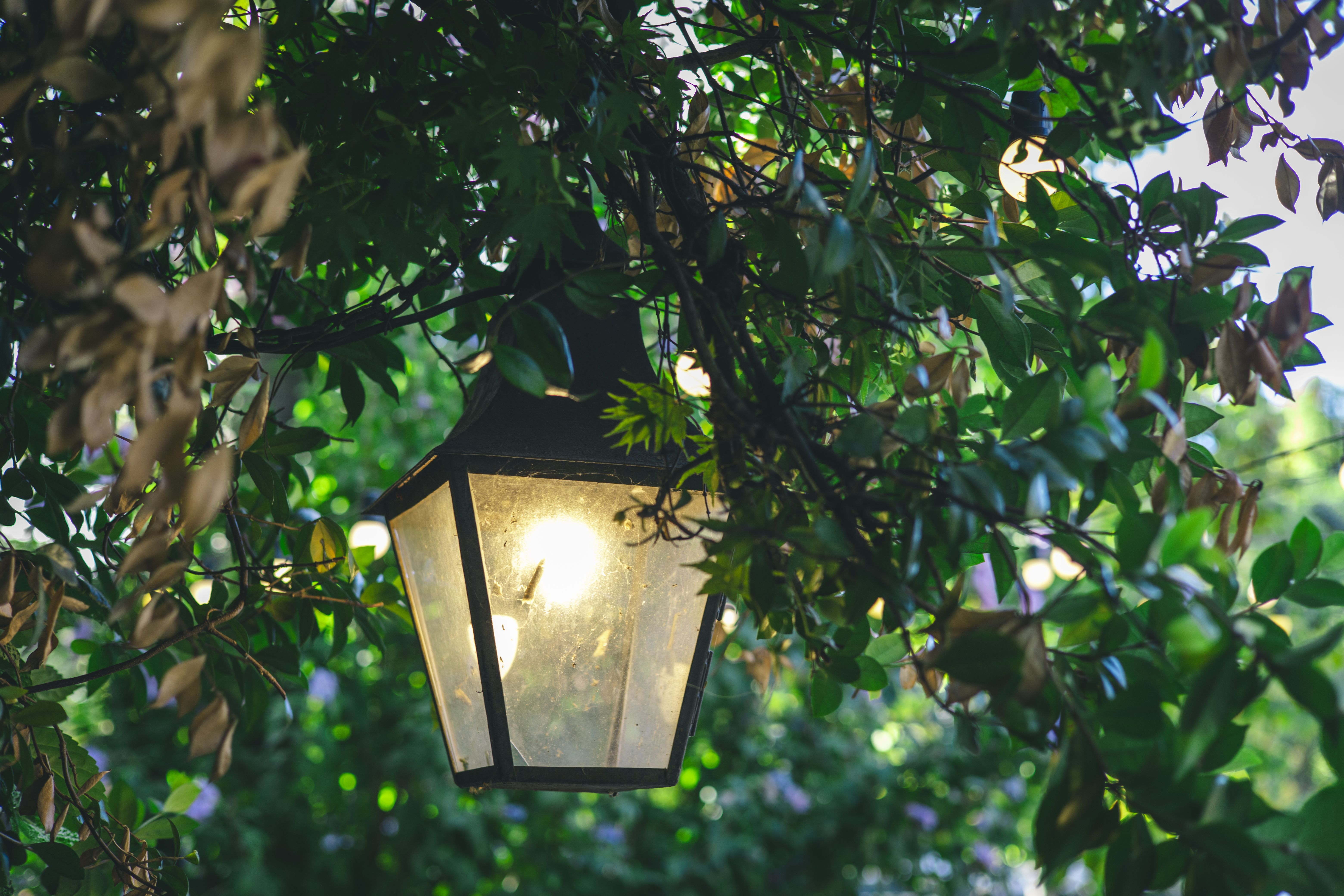 Solarleuchten für den Garten: 2 stilvolle Picks + DIY-Setup — Material-Übersicht