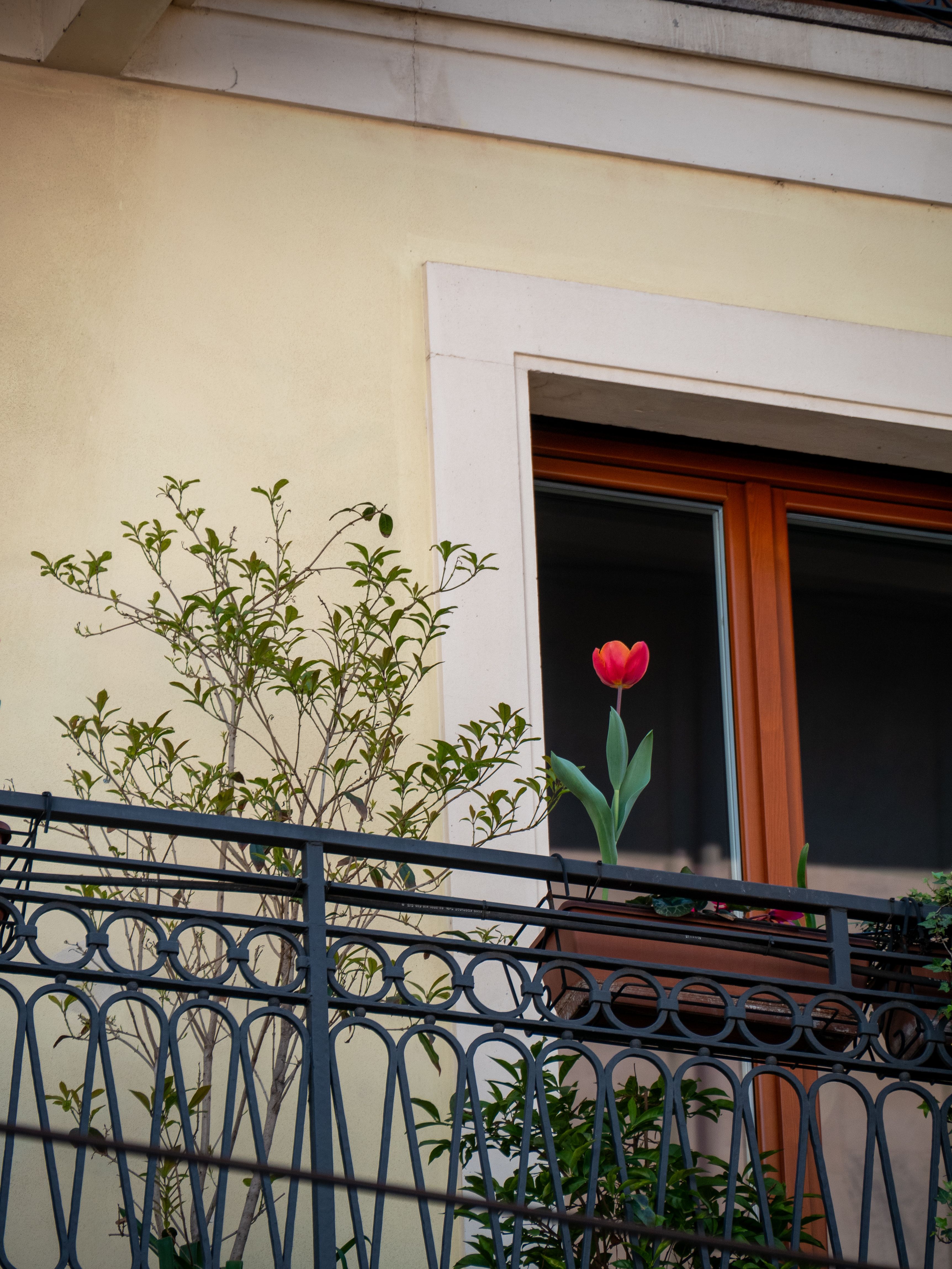 Jardinière autoportante en palettes récupérées pour balcon urbain 