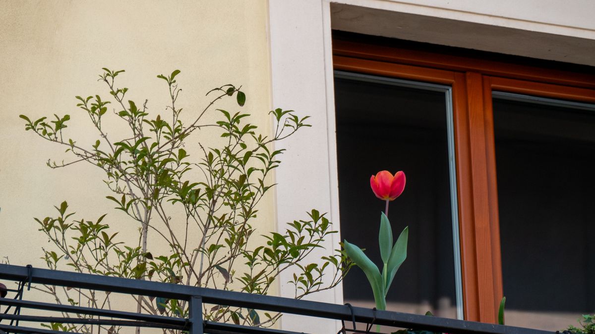Jardinière autoportante en palettes récupérées pour balcon urbain
