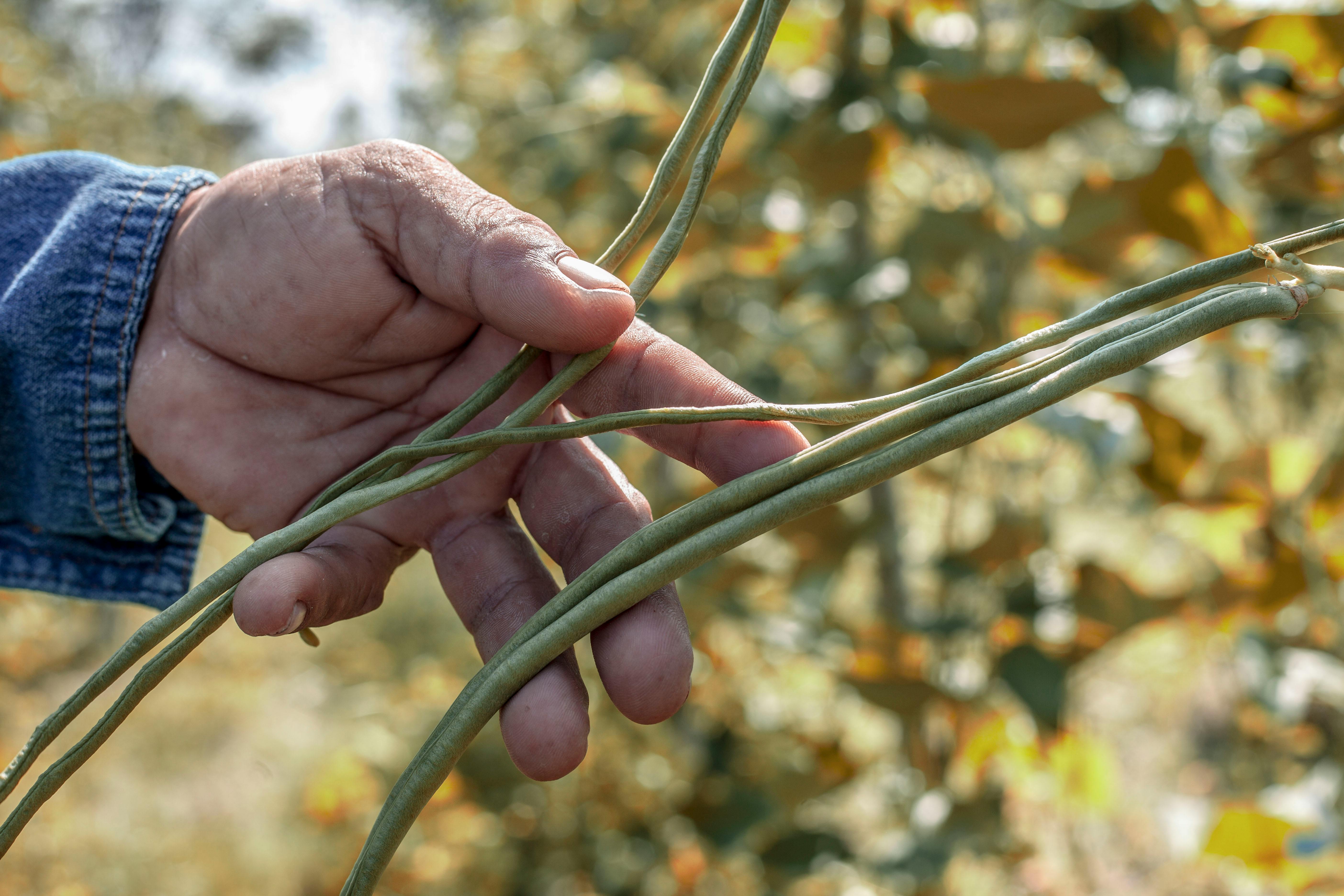 Biofarm insights image