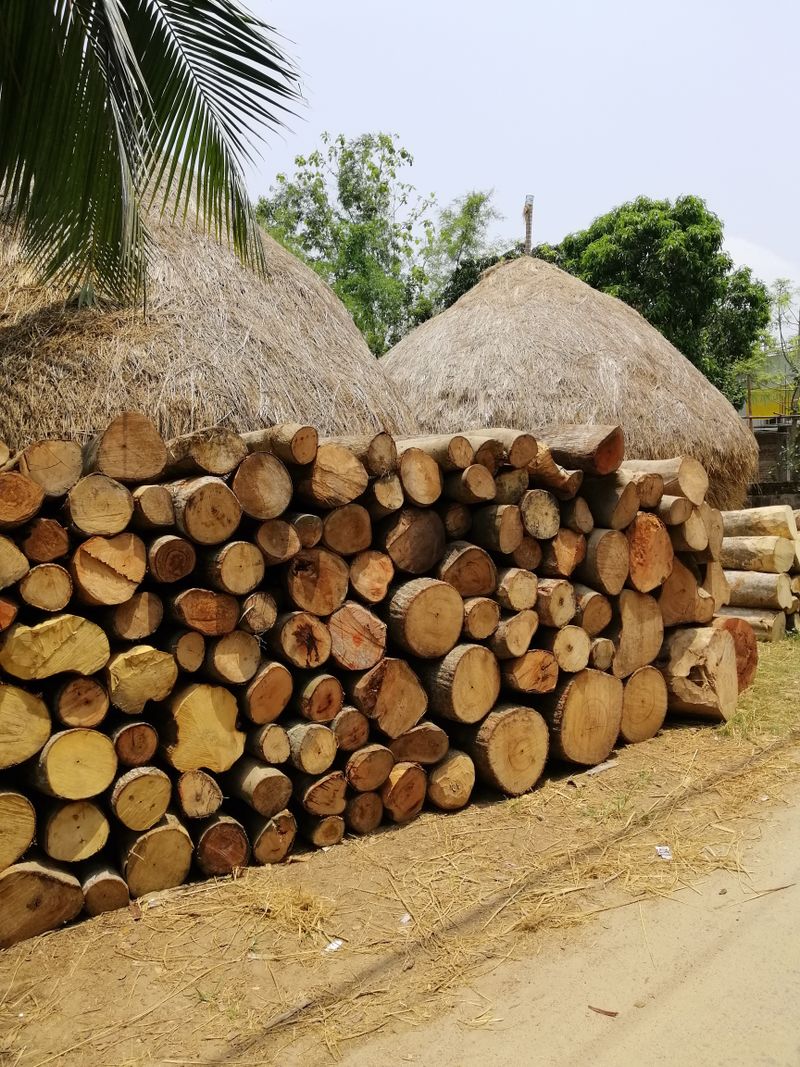 Not All Biomass Briquettes Are Equal: A Buyer's Guide for Kenyan Industry