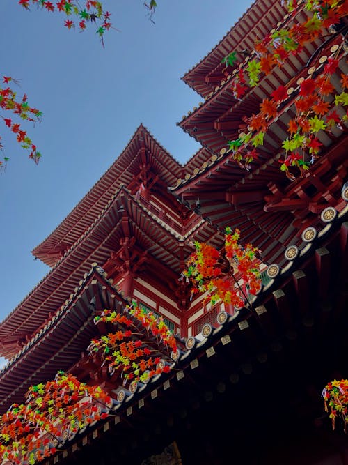 Free stock photo of belief, buddha tooth relic temple, china town