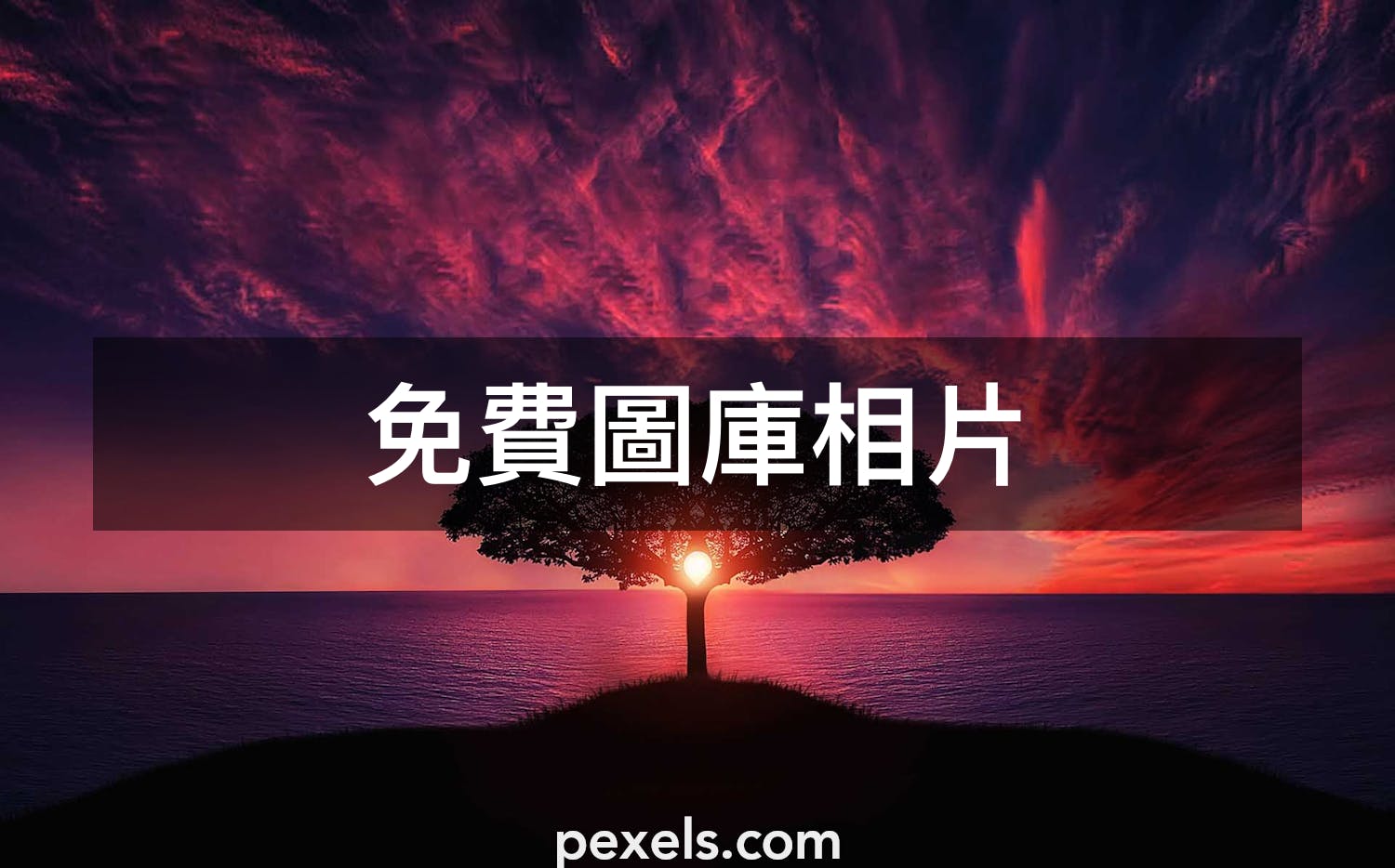 1000 Mac 壁紙相片 Pexels 免費圖庫相片