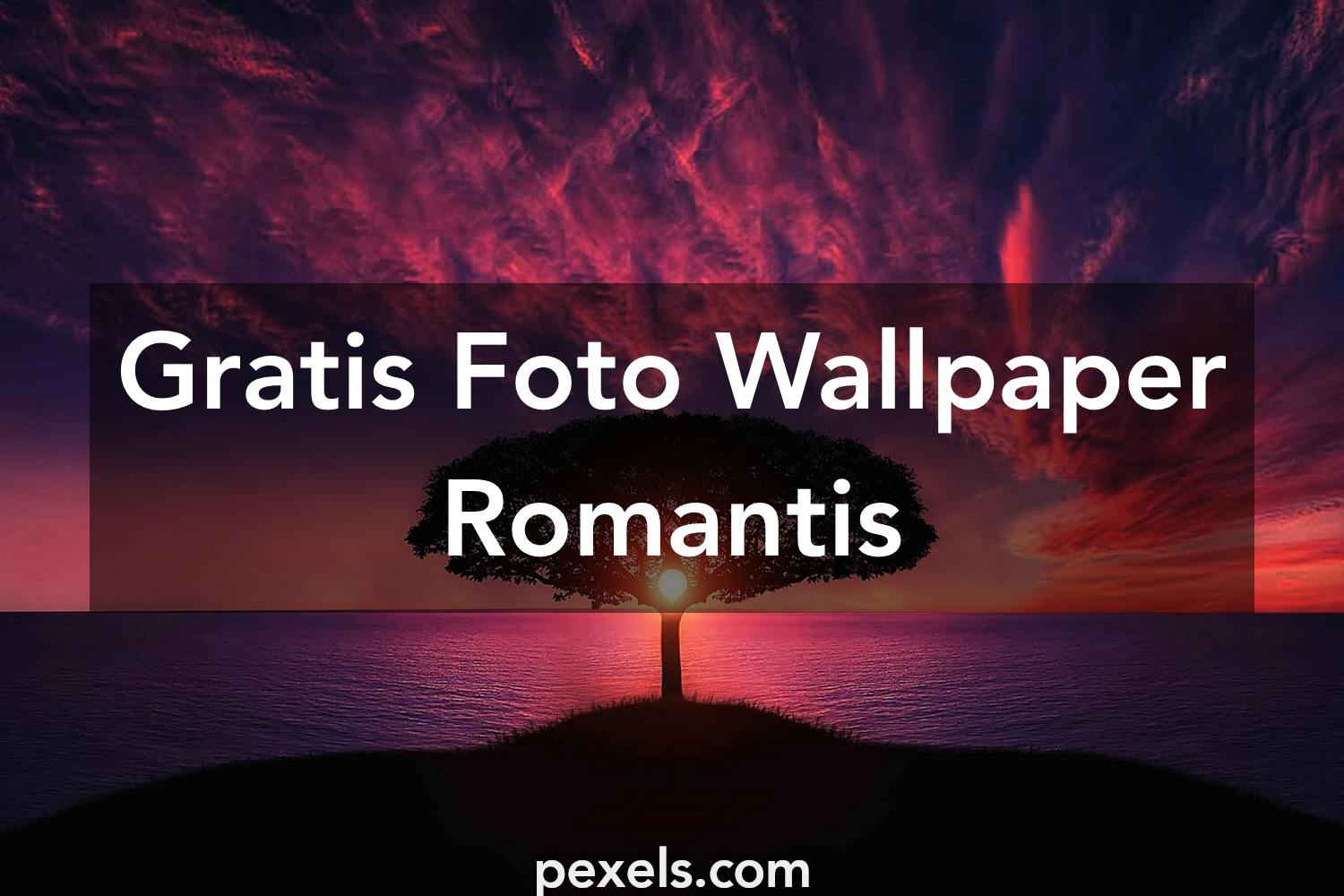 Download 68 Background Romantis Gratis Terbaru
