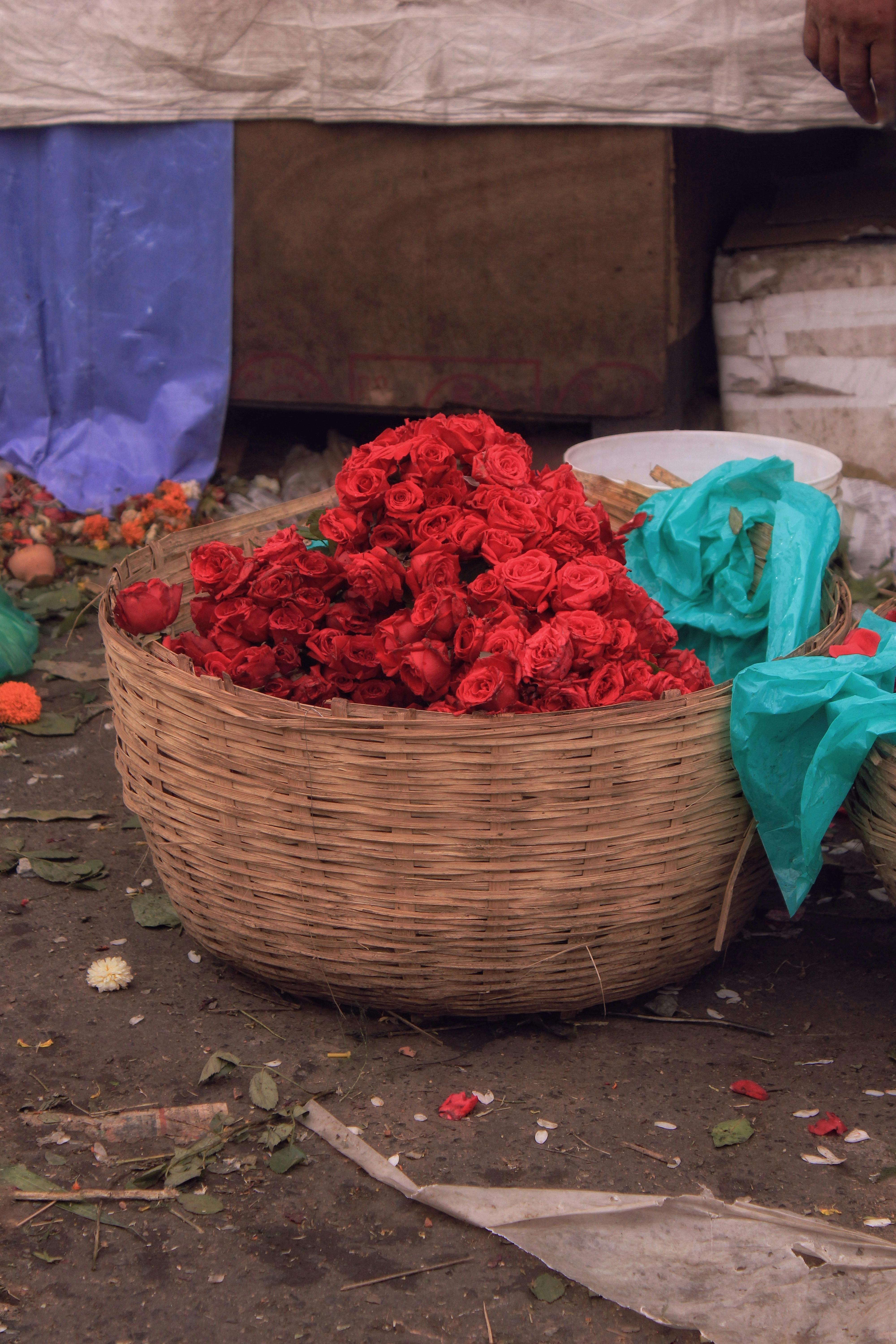 [ColoSach]-a-lively-display-of-red-roses-in-a-basket-at-a-traditional-market-in-kolkata,-india.