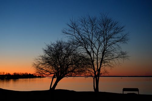 Free Beautiful sunrise with silhouettes of trees and a bench at Cove Island Park, Stamford. Stock Photo