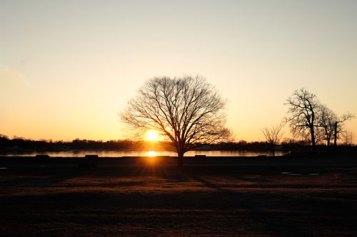 Free A tranquil scene of a lone tree silhouetted against a winter sunset by a calm lake. Stock Photo