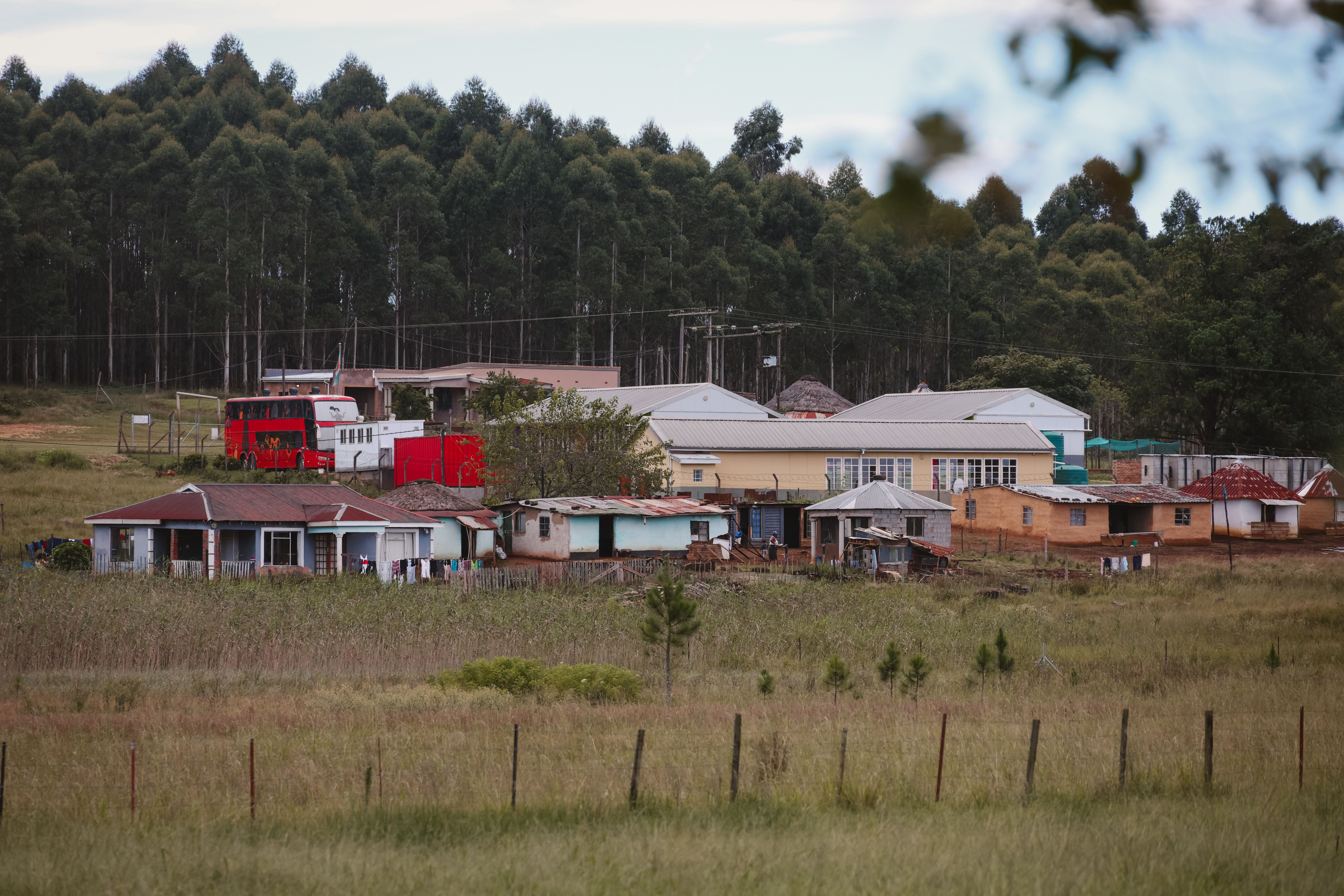 A group of volunteers painting lines on a community sports field with a backdrop of houses and trees