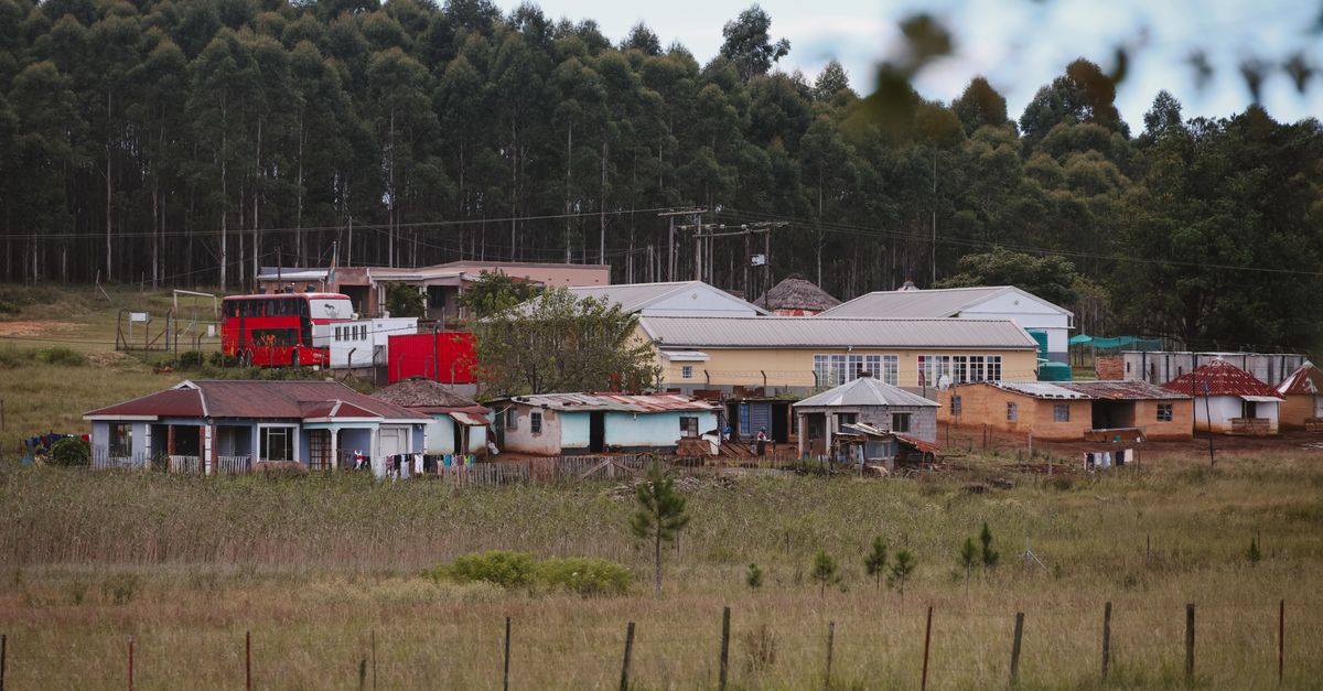A group of volunteers painting lines on a community sports field with a backdrop of houses and trees