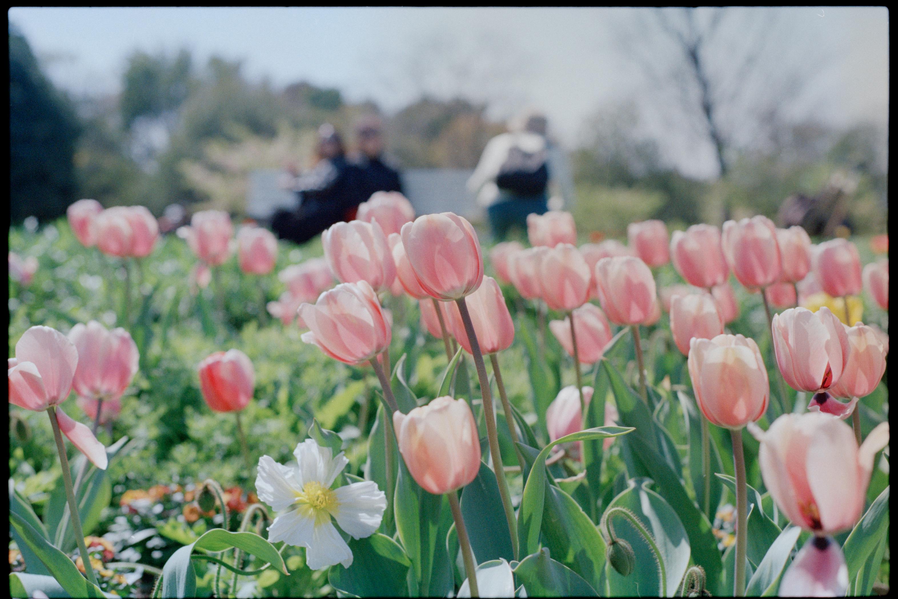 April 2026 Mortgage Rates Drop: How This Shift Could Save You Thousand — personal finance and wealth management — inflation —