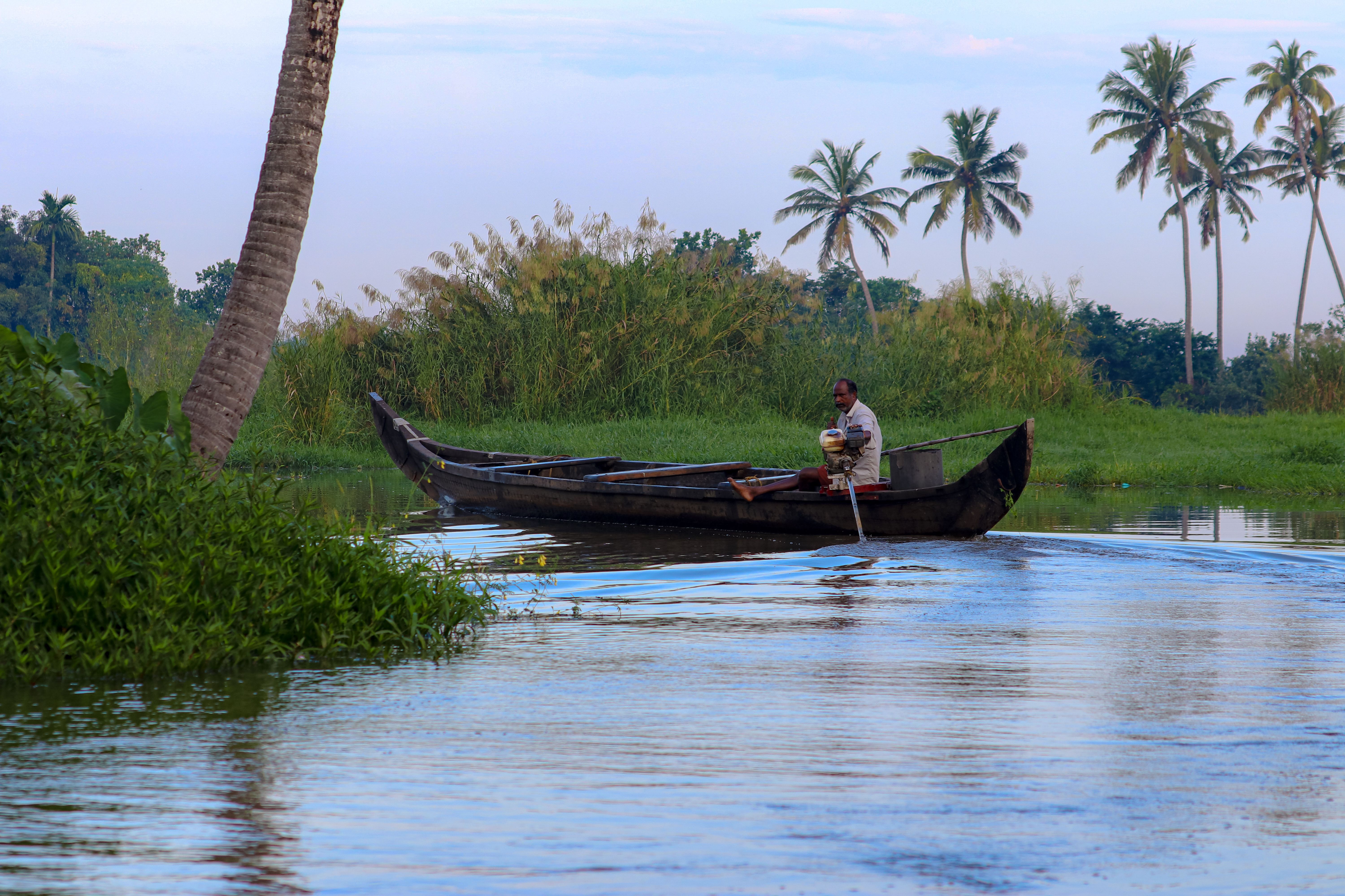Serene Boat Ride Through Lush Tropical Waterway · Free Stock Photo