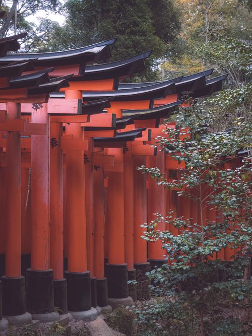Free Discover the vibrant red Torii gates of Fushimi Inari Taisha, a famous Shinto shrine in Kyoto, Japan. Stock Photo