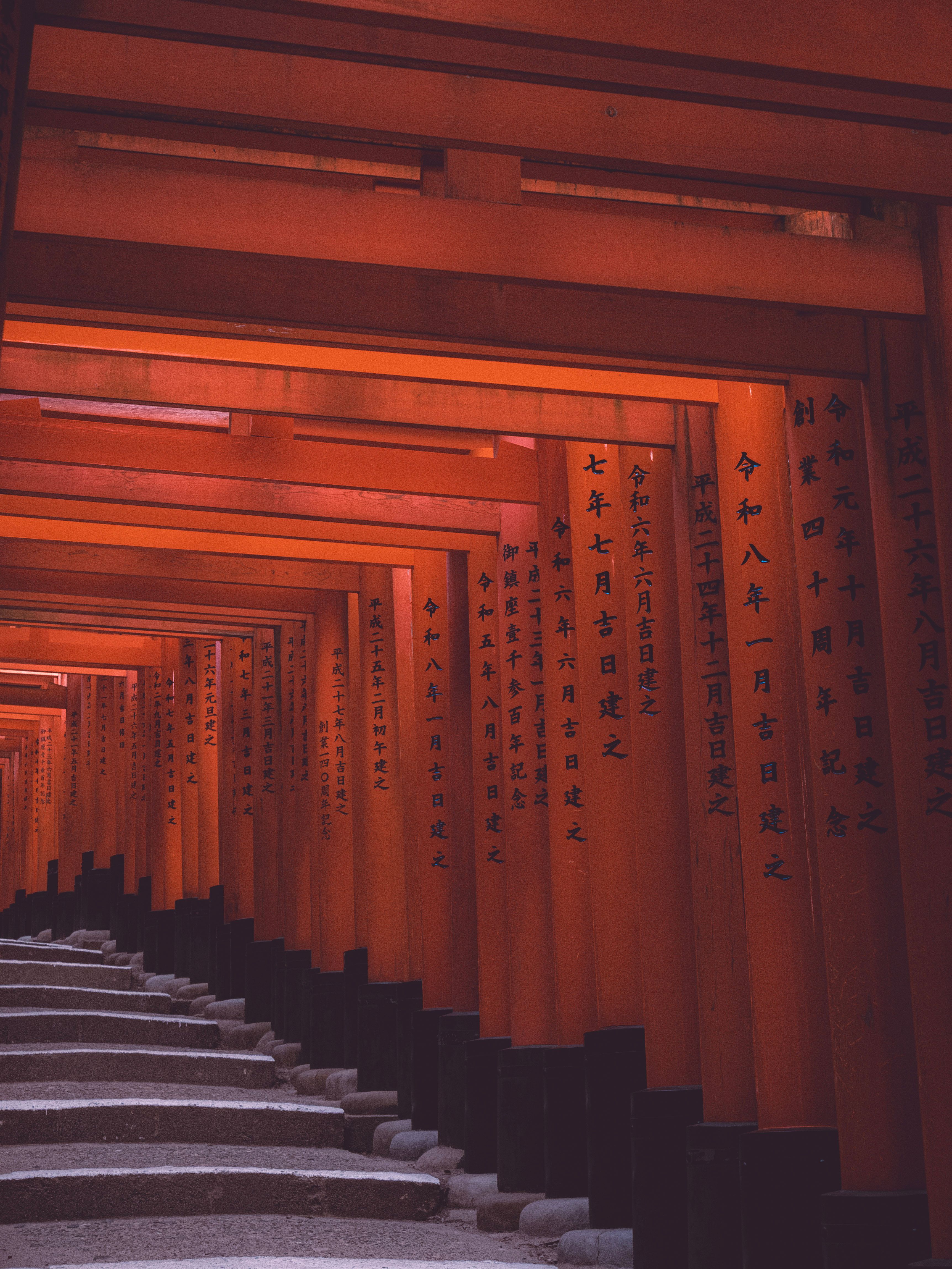 Serene Pathway through Fushimi Inari Shrine Torii Gates · Free Stock Photo