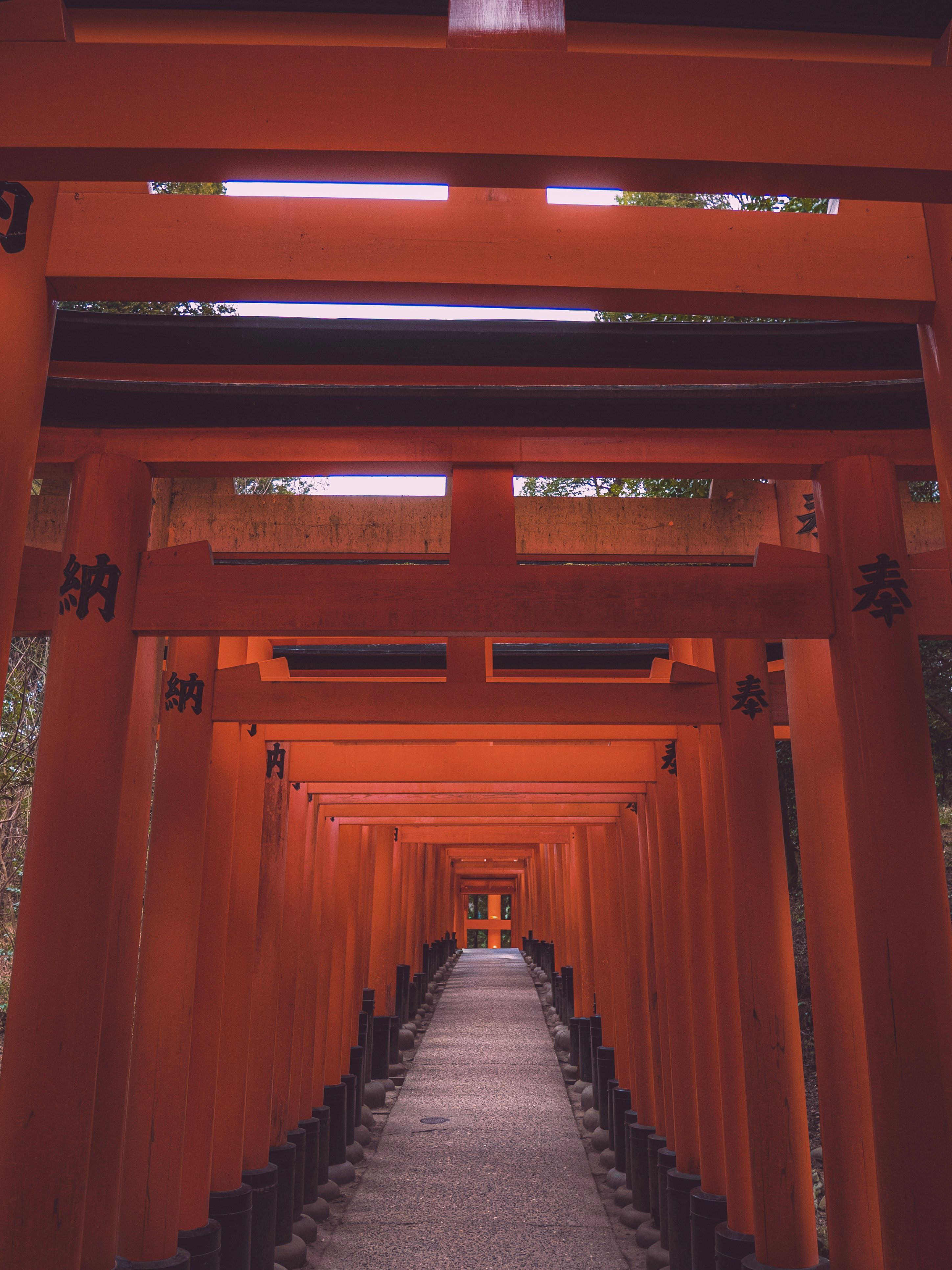 Iconic Fushimi Inari Torii Gate Pathway in Kyoto · Free Stock Photo