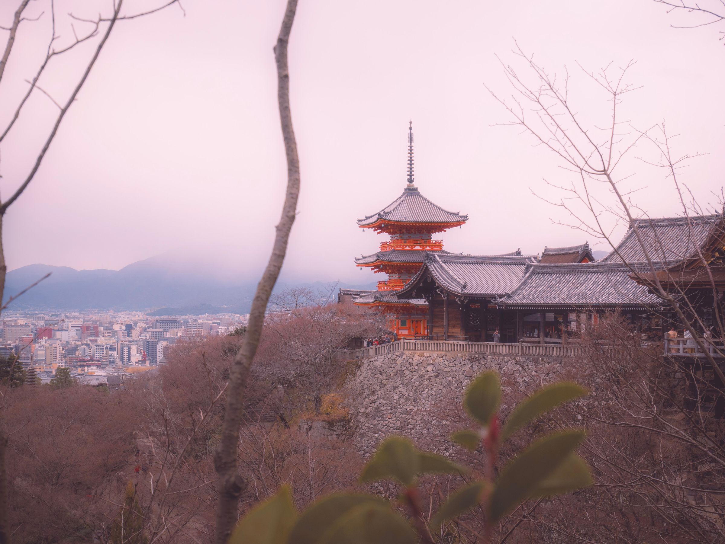 Kyoto Family Trip (Relaxed, 5 Days) — Temples, Bamboo, Gardens & Food