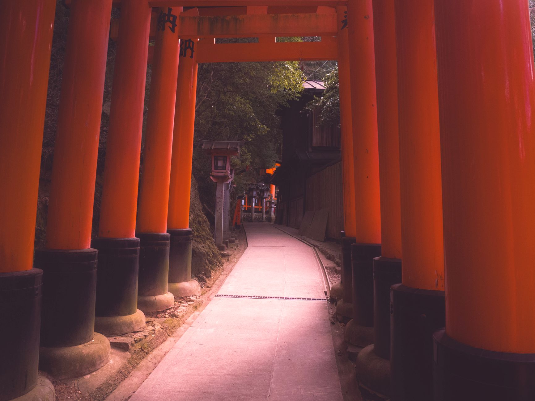 A view of the iconic red torii gates lining the path at Fushimi Inari Shrine in Kyoto, Japan.