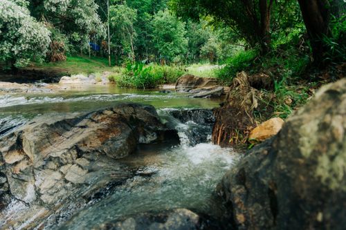 Free Peaceful stream flowing through lush greenery in Kon Tum, Vietnam's natural landscape. Stock Photo