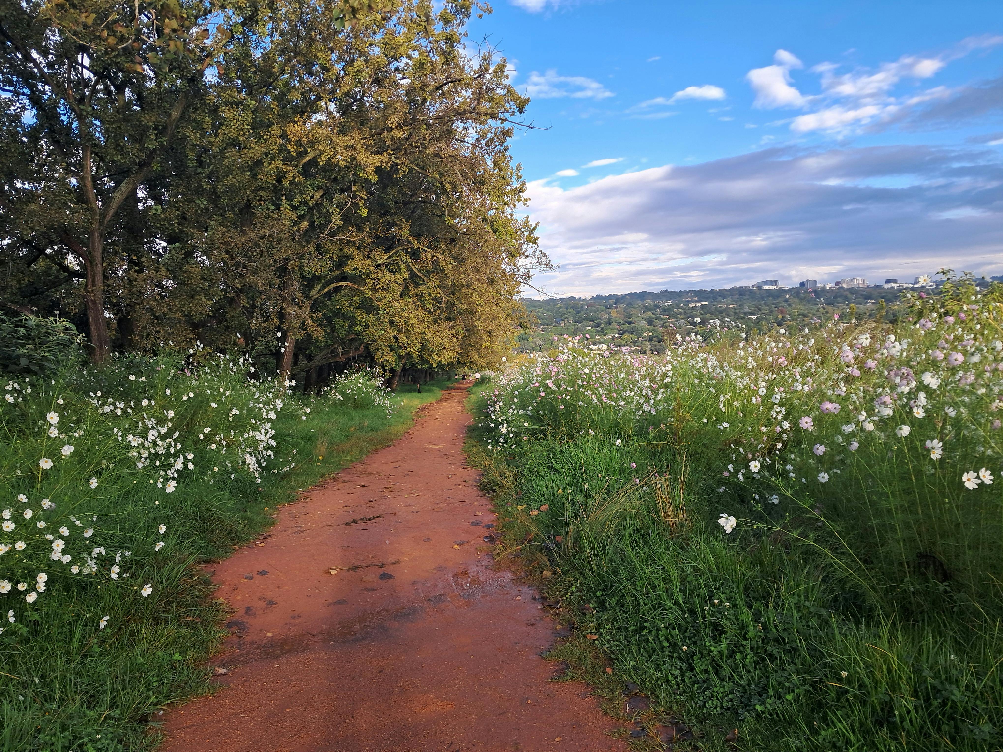 Healthspan White Paper: The Data-Driven Path to Longevity — Photo by SAUMIK SAMANTA on Pexels