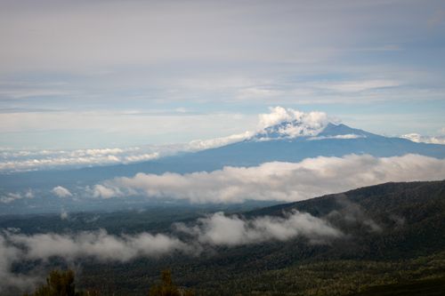 Free A breathtaking view of a mountain peak surrounded by misty clouds and lush green forest. Stock Photo