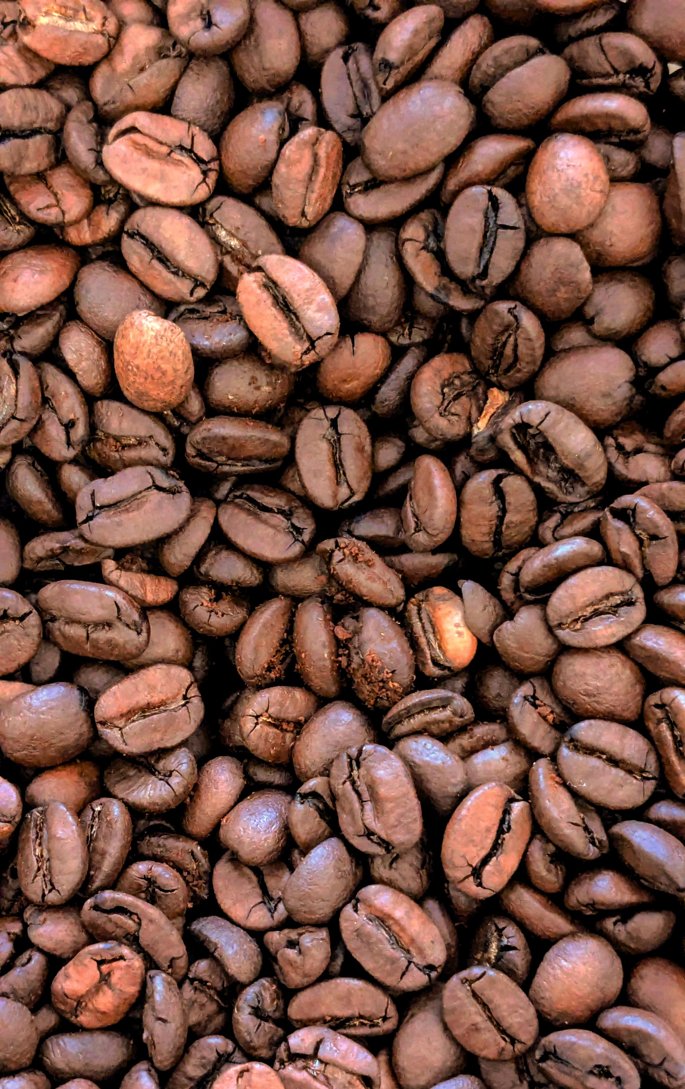 Macro shot of roasted coffee beans highlighting texture and rich brown tones.