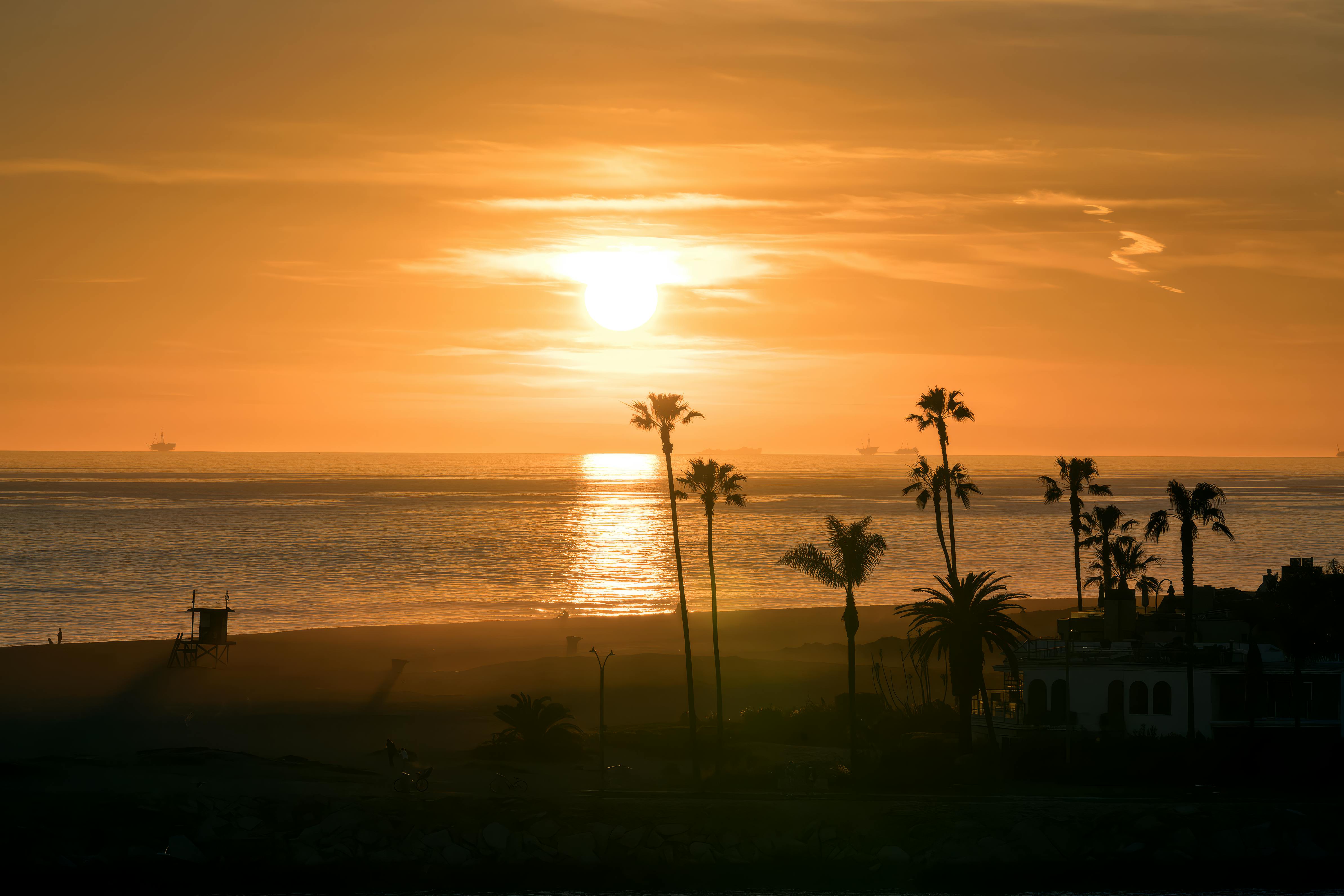 How to deepen California’s commitment to K-12 civic learning — Photo by Ghassan Alkhatib on Pexels