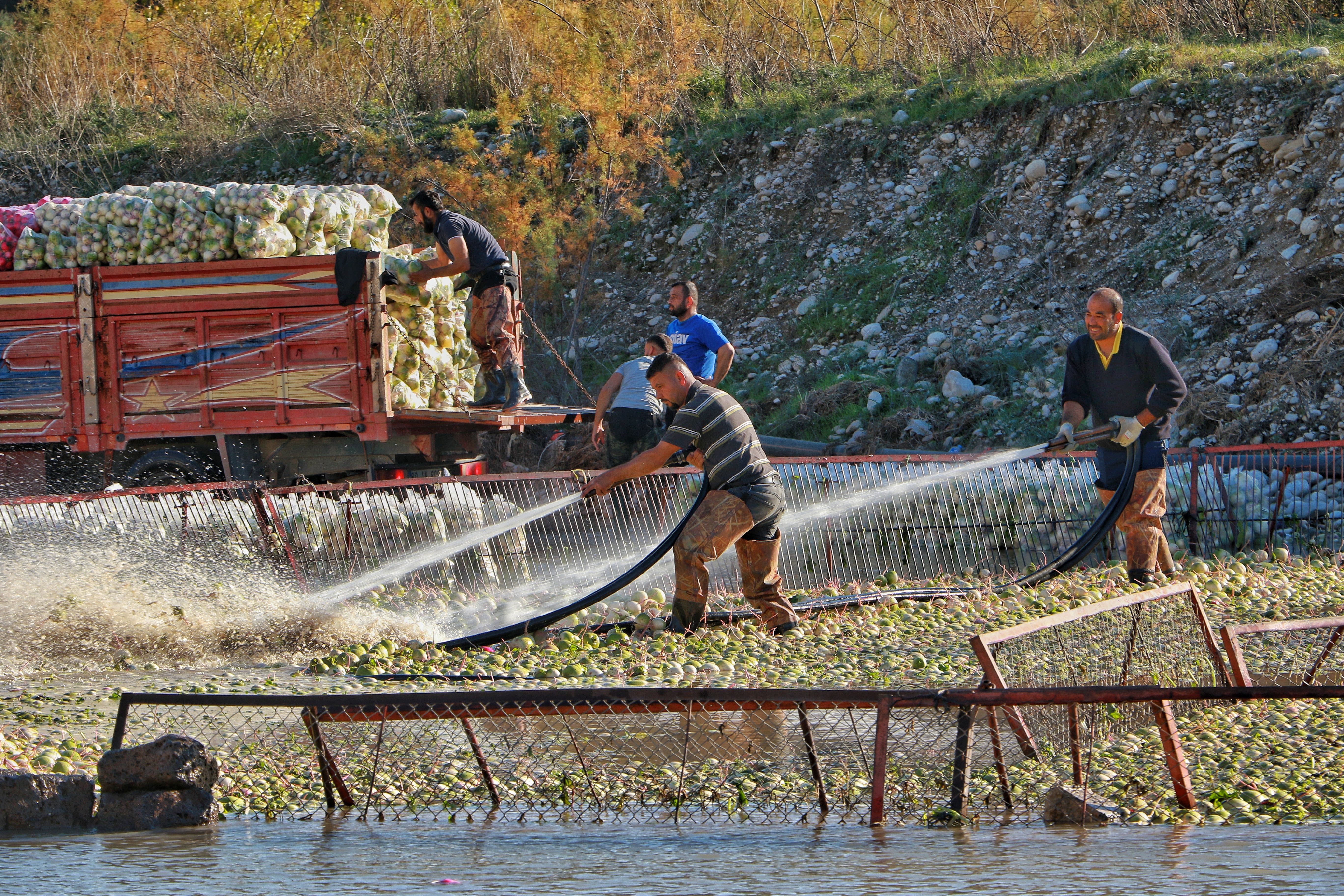 Workers