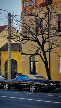 Classic black car parked by urban building with tree and warm tones.