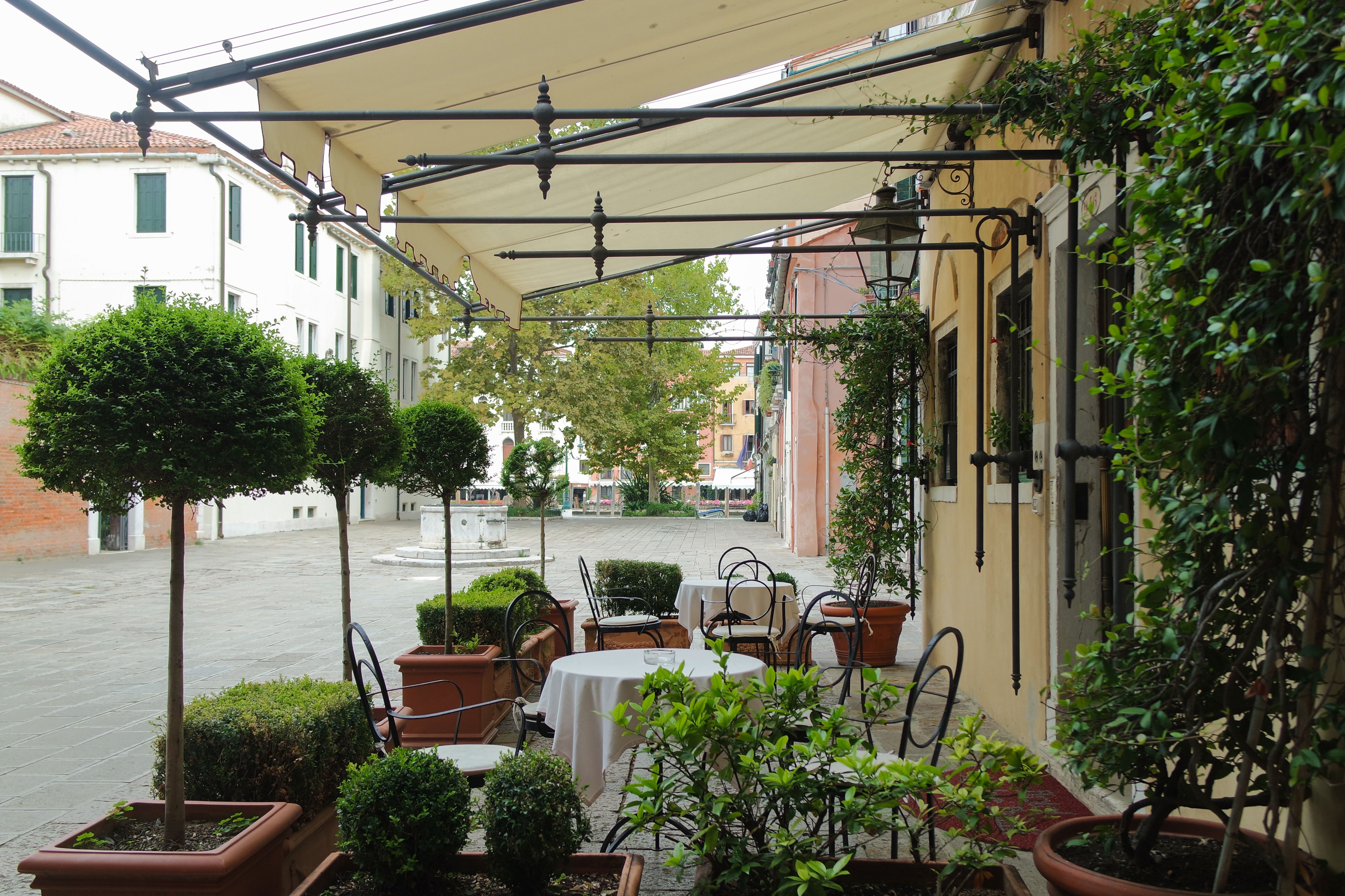 Peaceful outdoor café in Venice, surrounded by greenery and quaint architecture.