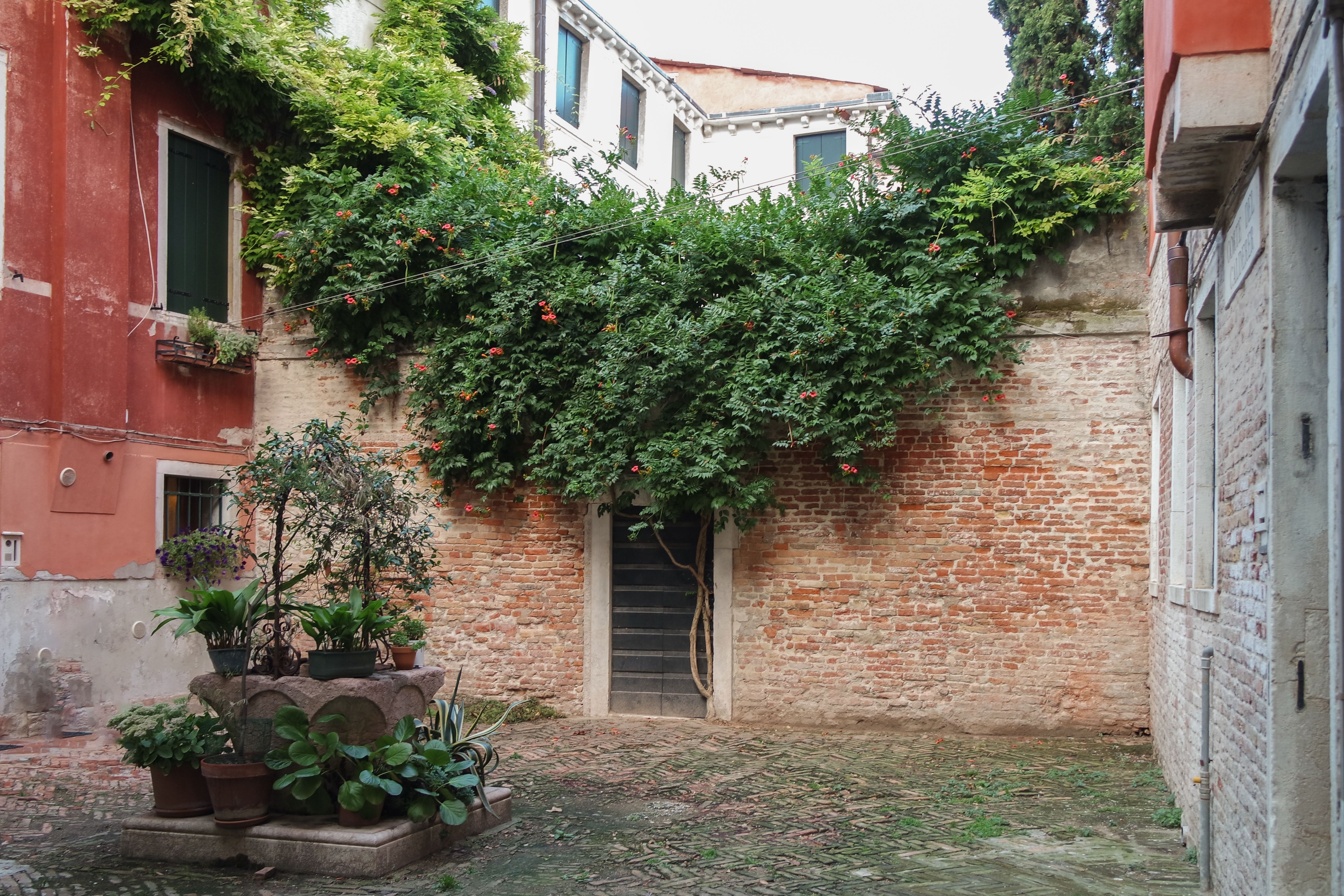 Venice neighbourhood street market with vegetables and residents going about daily life