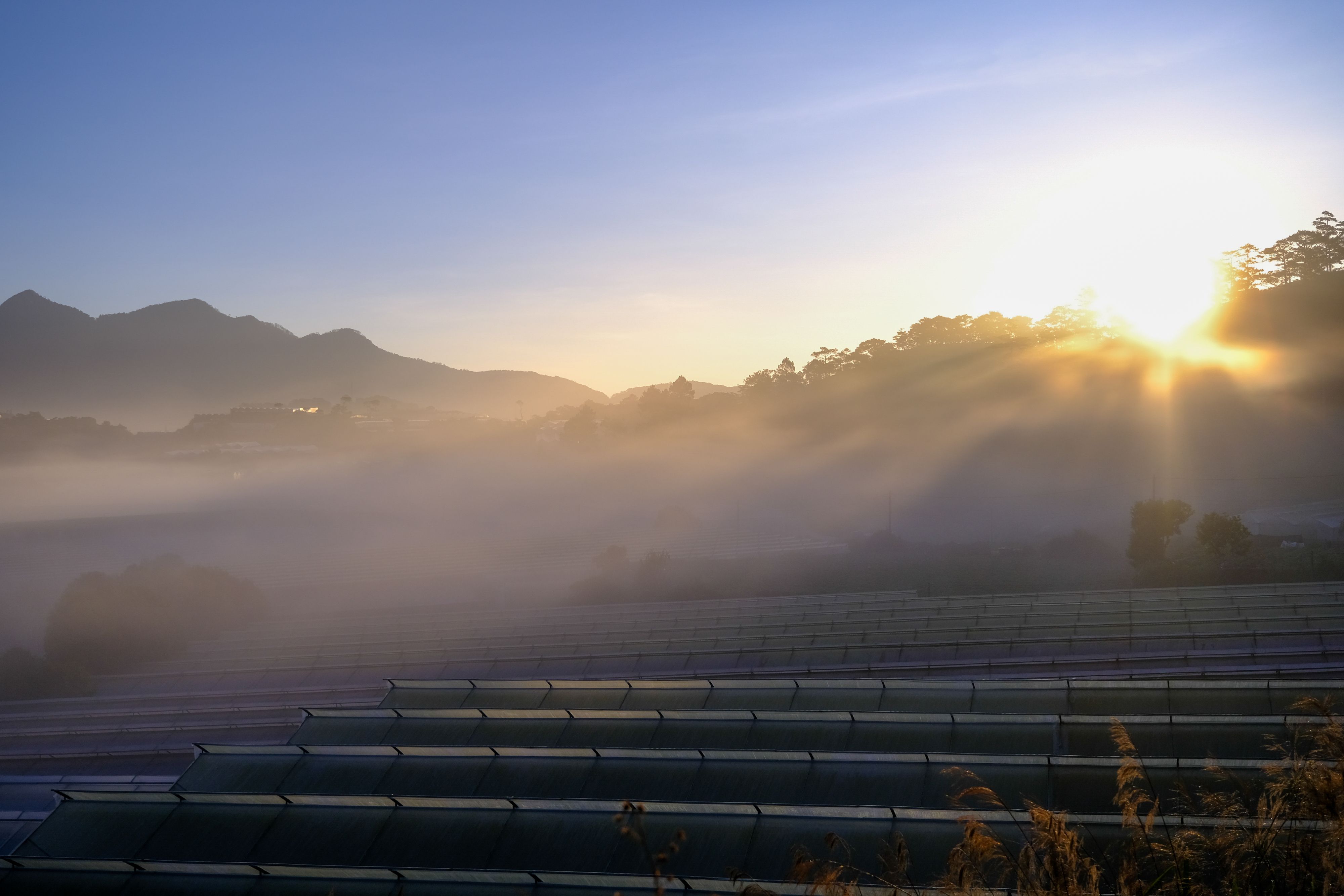 Sunrise over Dalat's misty landscape with mountains and greenhouses.