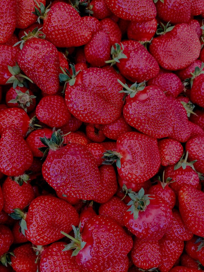 Fresh strawberries in soft natural light