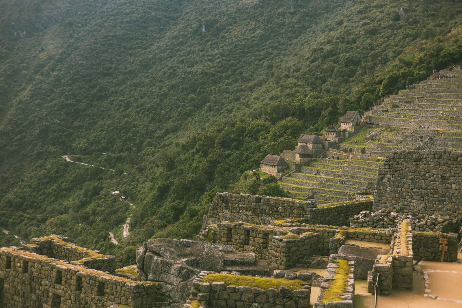 Machu Picchu'ya tren