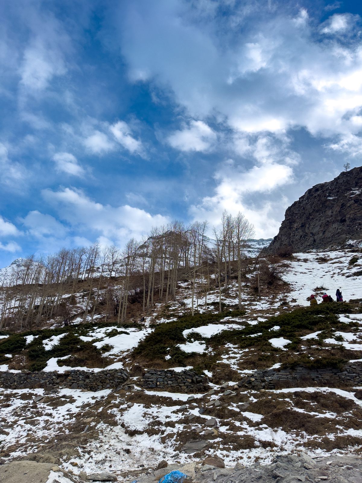 Manali Volvo Package — photo 1