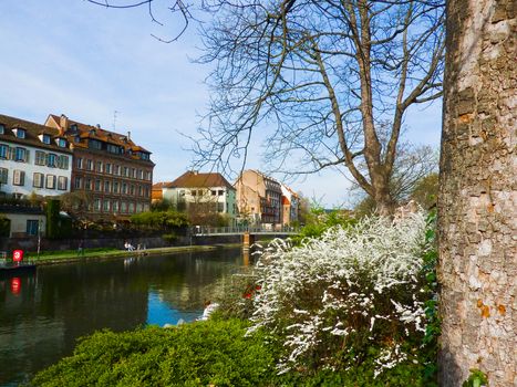 Beautiful canal scene in Strasbourg with spring blossoms and traditional architecture.