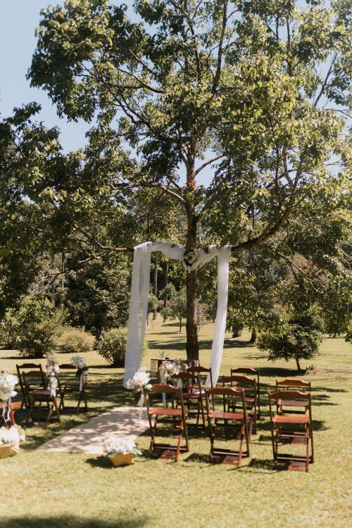 Free Beautiful outdoor wedding setup with chairs and draped tree on a sunny day. Stock Photo