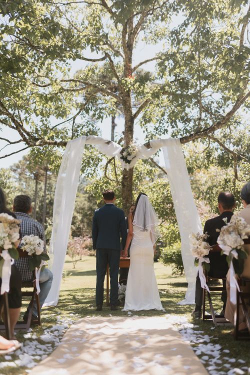 Free A beautiful outdoor wedding ceremony under a decorated tree with guests in attendance. Stock Photo