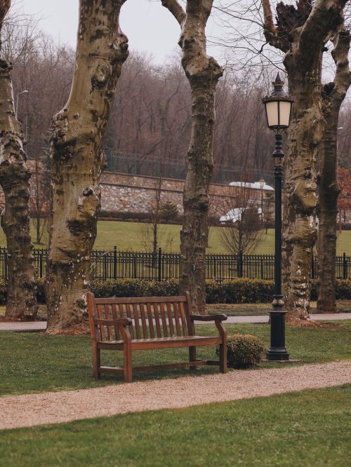 Free Tranquil park setting featuring a wooden bench and lamp post among bare trees in late winter. Stock Photo