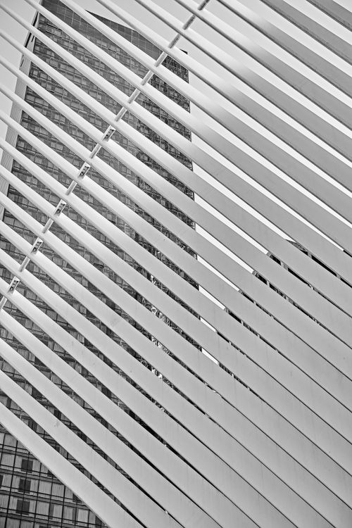 Free Black and white image showcasing diagonal architectural lines with a tall building backdrop. Stock Photo