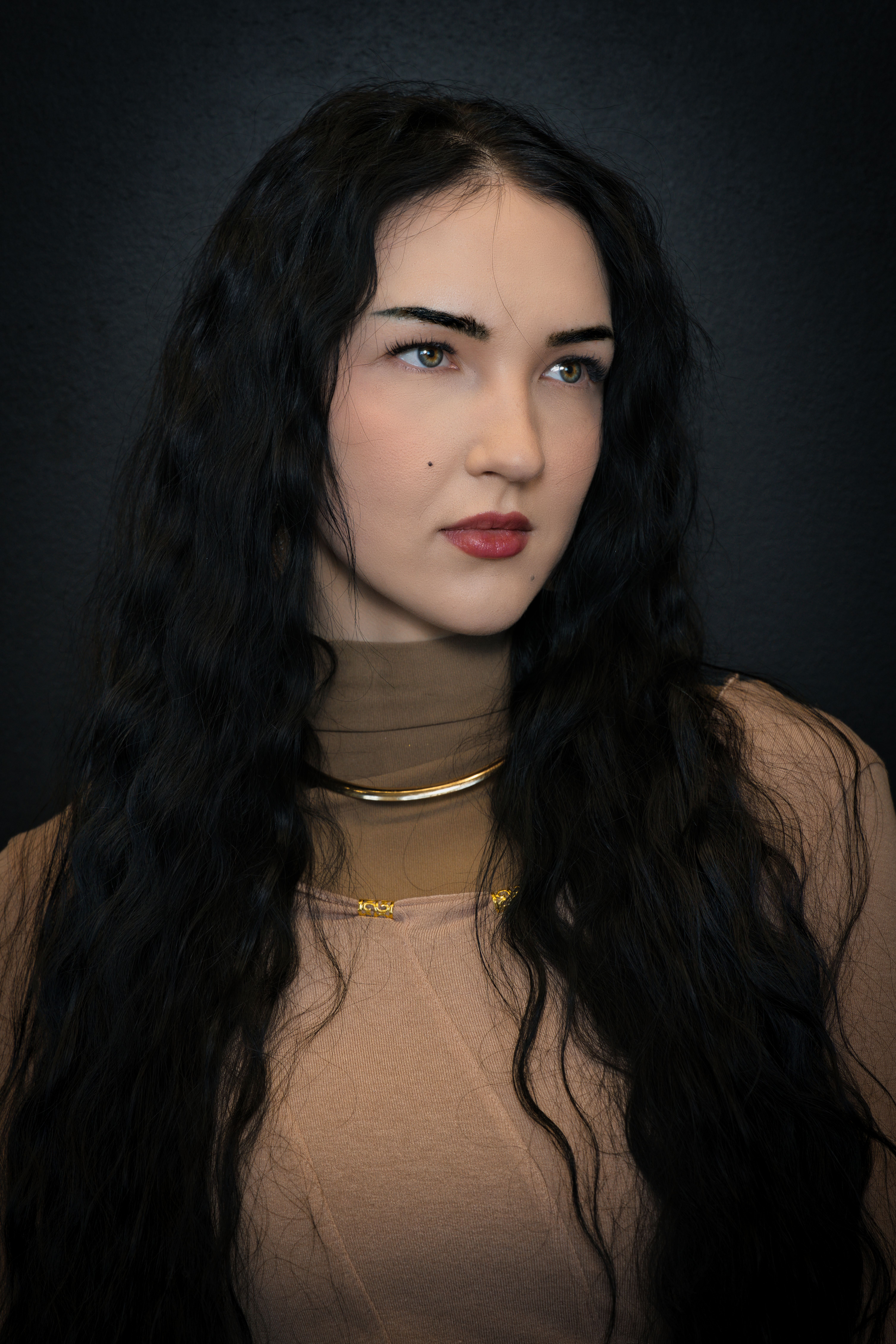 Elegant Portrait of Woman with Long Black Hair · Free Stock Photo