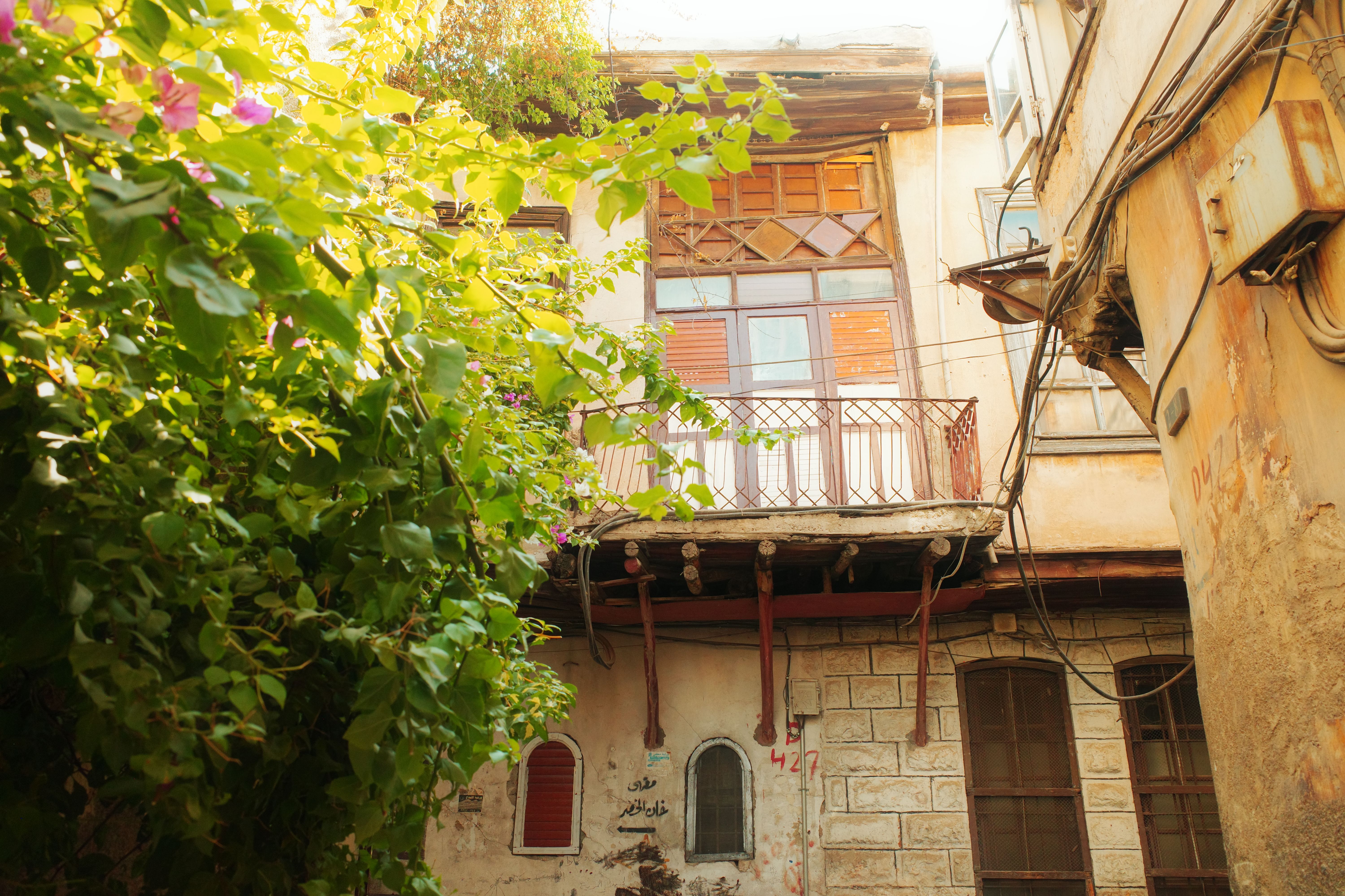 Cedar Backpackers hostel in Tripoli