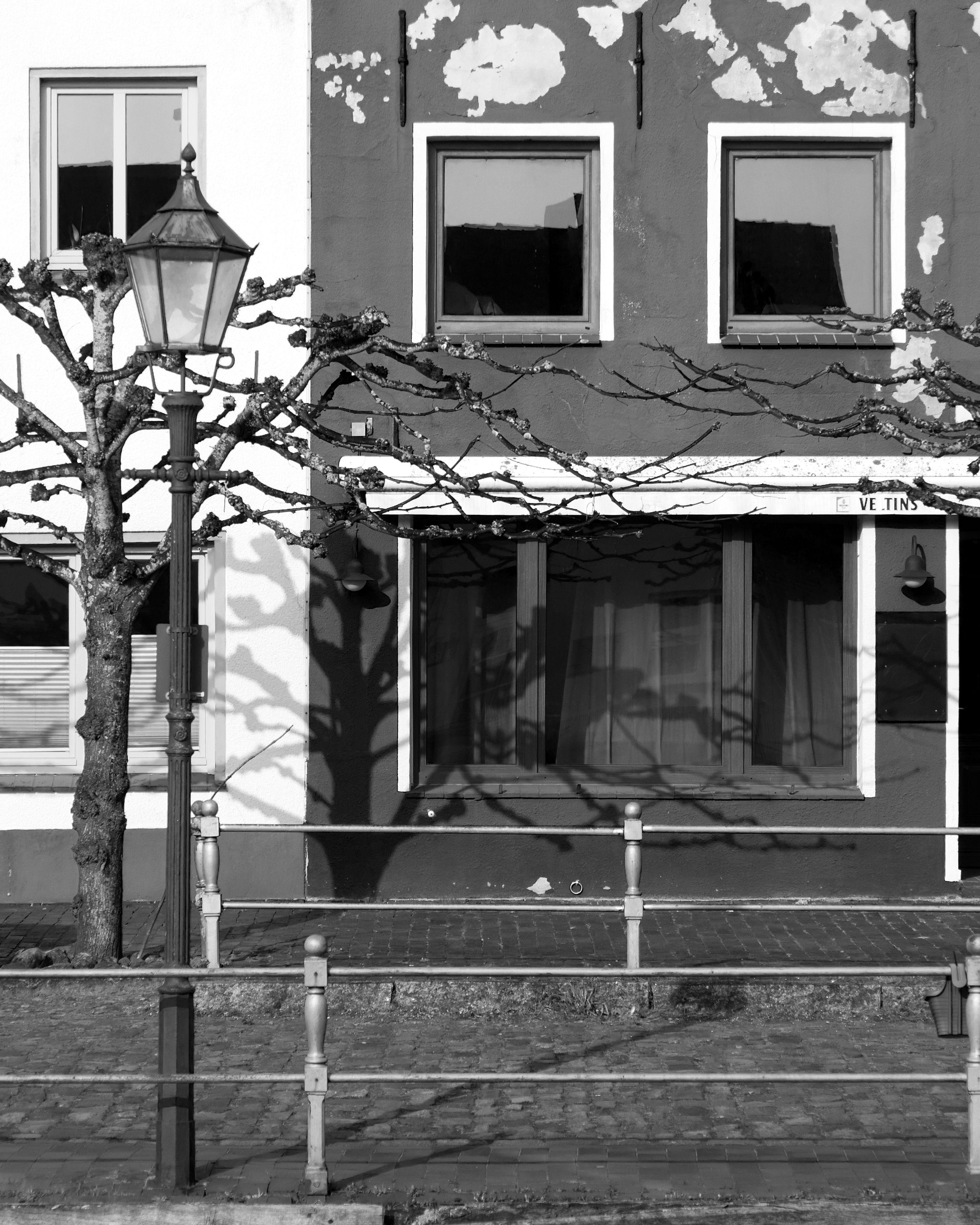 A black and white image depicting a street scene with bare trees casting shadows on old buildings.