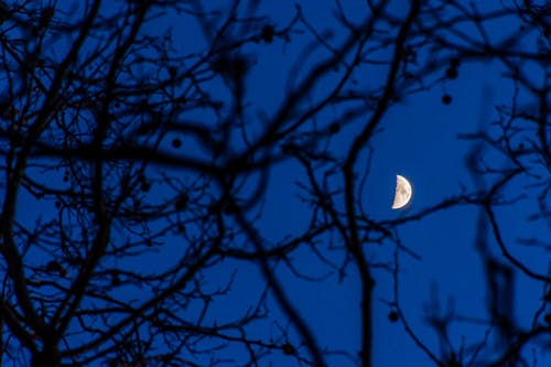 Gratis lagerfoto af baby måne, blå, blå-time