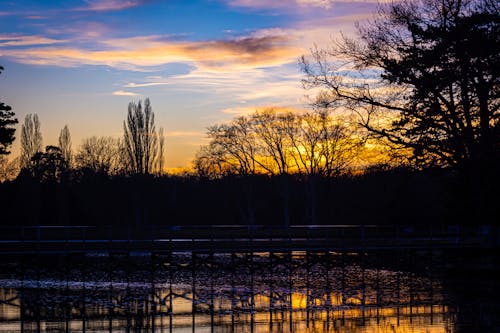 Gratis lagerfoto af afspejle, blå himmel, dam