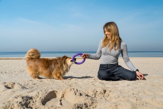 melbourne dog beach