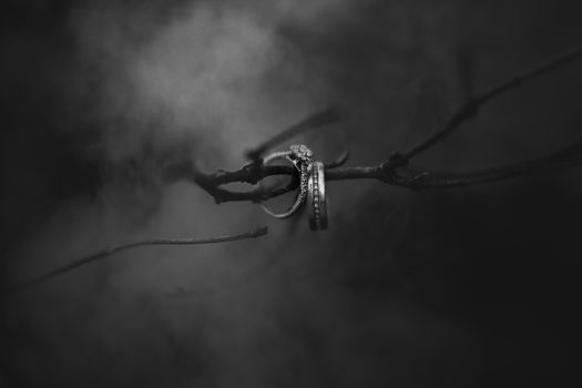 Black and white photo of elegant engagement rings on a branch, creating a moody atmosphere.