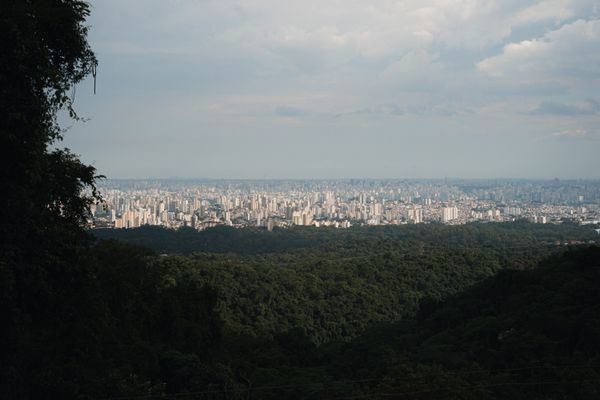 Сан-Паулу