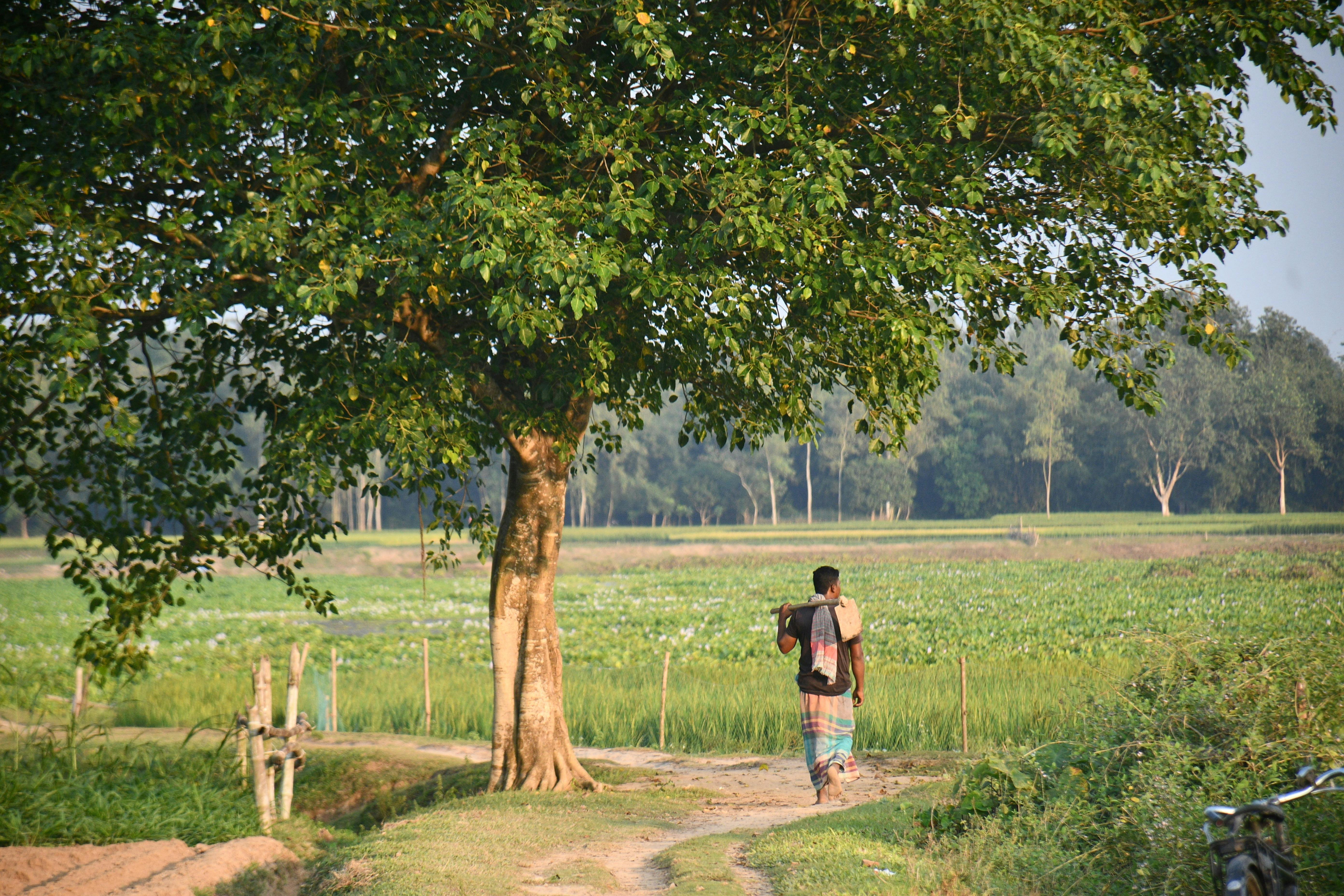 From daily burden to scheduled protection: the “vaccine-like” shift in hypertension - Nature — Photo by masudar rahman on Pex